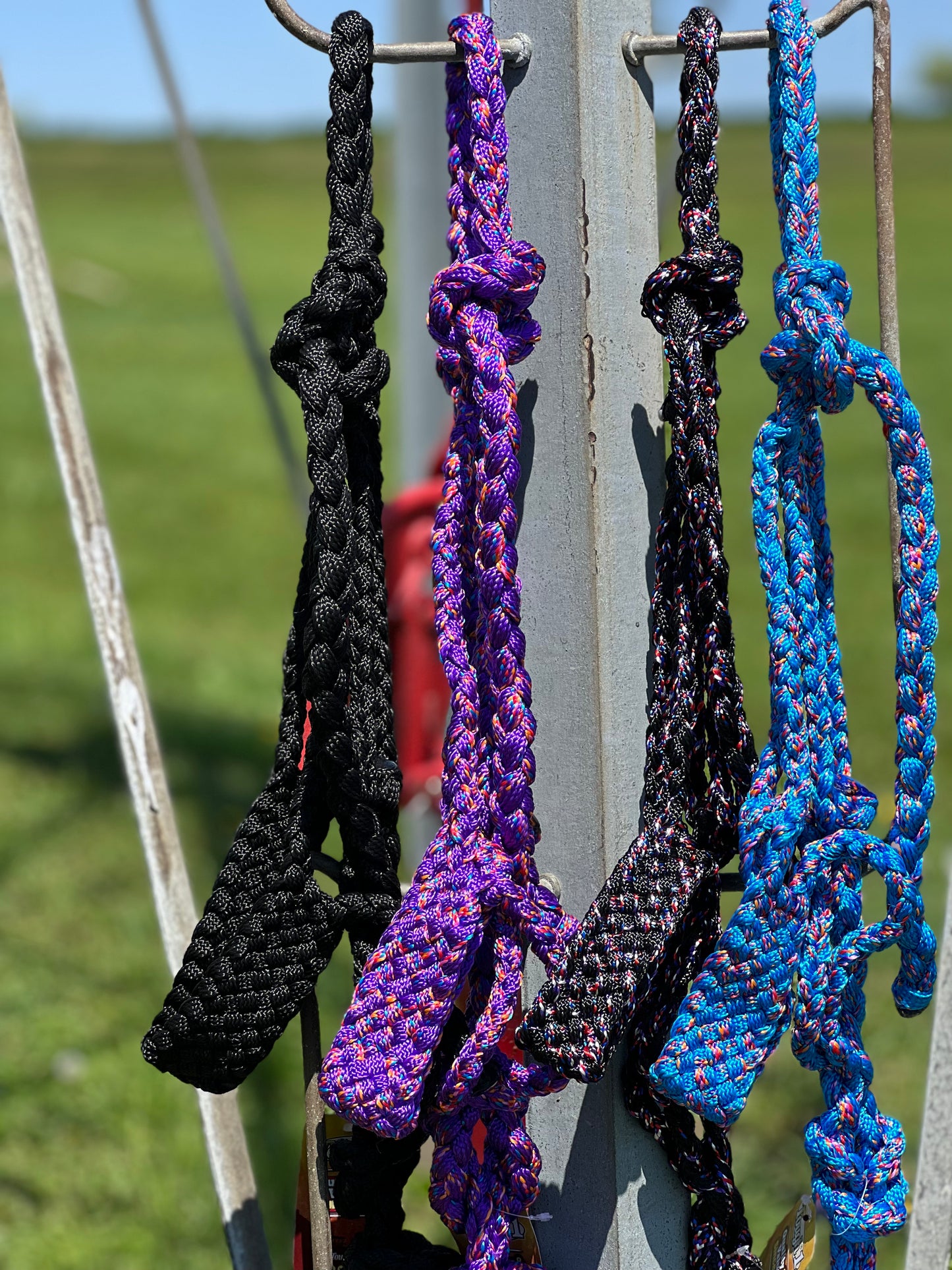 Mule Tape Halter with Lead