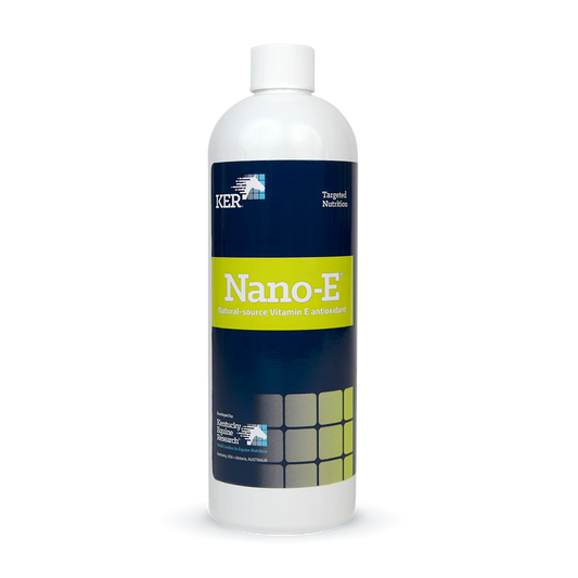 Nano-E