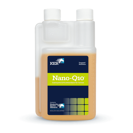 Nano-Q10