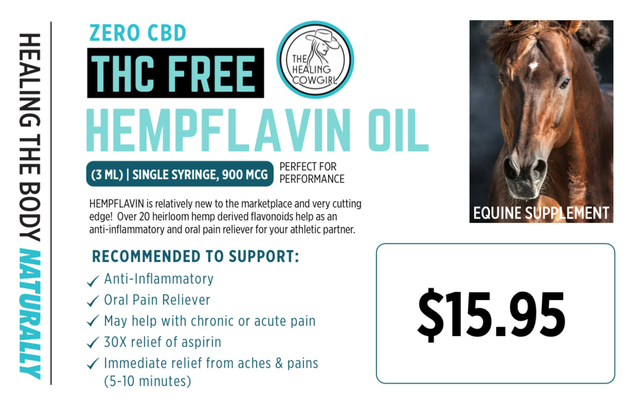 HempFlavin Oil, 3 mL Single Dose (900 mcg) – WILL NOT DRUG TEST